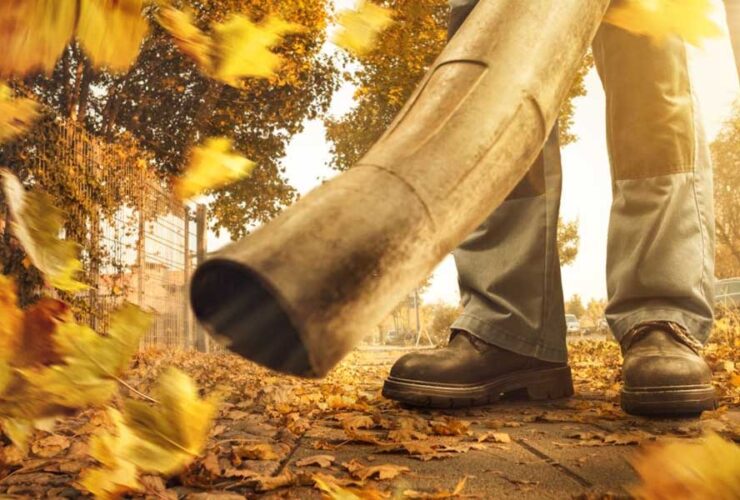 The 6 Best 4 Cycle Backpack Leaf Blowers